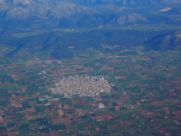 Sa-Pobla-Mallorca Die Süßkartoffel - Lebensmittel des Monats auf Mallorca