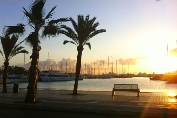 jachten-sonnenaufgang-palma Palma de Mallorca für Fortgeschrittene – zu Gast in der Hauptstadt